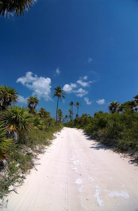 looking down a sandy jungle road in Mexico